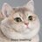 SirryGoil's profile image