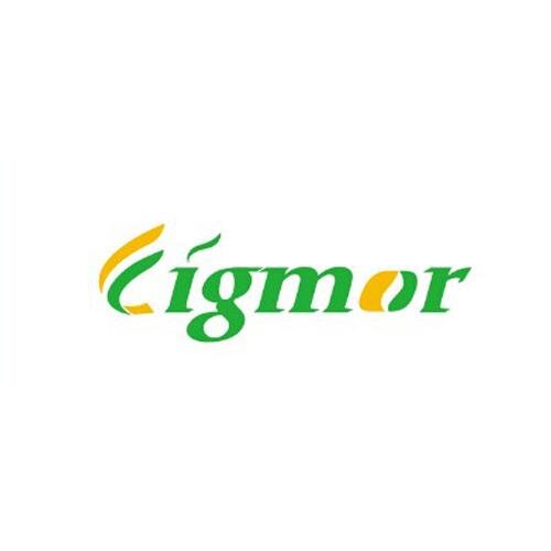 Professional Electronic Cigarette Manufacturer