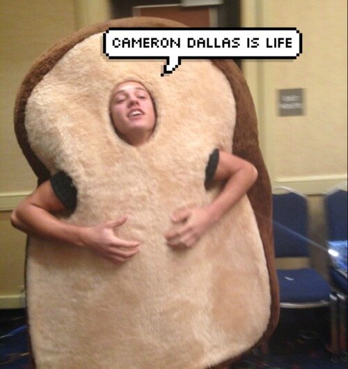 EllaineEllaineC's profile picture. HI YOU JUST HAD A FREE FOLLLOW FROM ME TO RETURN THE FAVOR PLEASE FOLLOW THIS ACCOUNT--------- @CortezEllaine Thank you :)