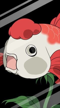 金魚草さんのプロフィール画像