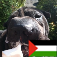 GlasgowGeordie's profile picture. 