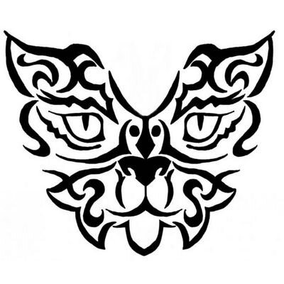 FilaGuaycurus's profile picture. 14. Reinas de la noche y bellas durmientes de día. Noche de estrellas, calor de verano y mucho tequila.