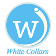 Whitecollars11's profile picture. Executive search, Head hunting, Training and development