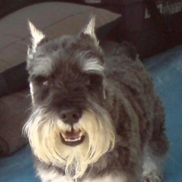 toonberry110's profile picture. saskatchewan girl/social worker *.      *views are my own*