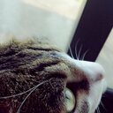 しおり (@0ud2w81f78t426u) Twitter