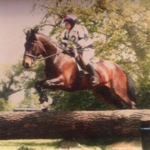 BirtleRC's profile picture. Competition centre with indoor and outdoor arenas. Large car park available. Easily accessible from M66. For further details see website/facebook.