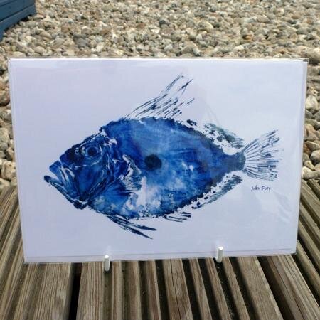 TRFRC's profile picture. We create stunning cards, prints and ceramics using unique images from the fish and crustaceans from Lyme Bay using the ancient skill ‘Gyotaku’, fish rubbing.