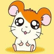 楽しくなる明日なんて存在するのだ！