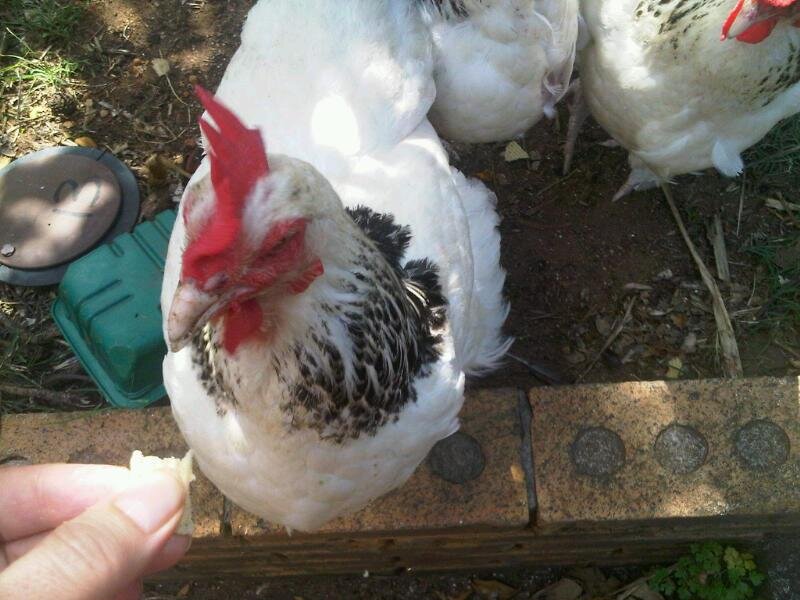 Privacybconsult's profile picture. 