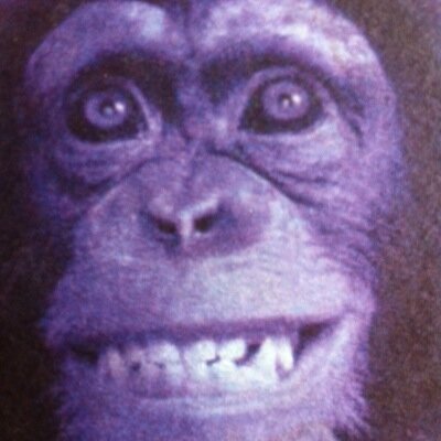 RaleAle's profile picture. 