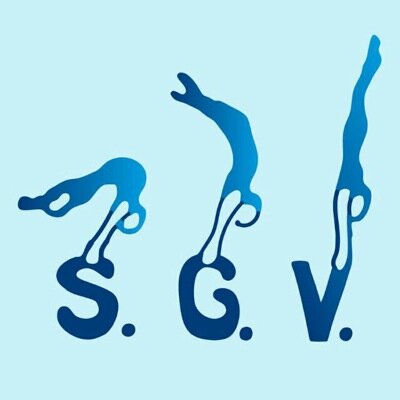 Gymnastiekvereniging waar het plezier in bewegen voorop staat. Onder enthousiaste leiding en met trouwe vrijwilligers staan we elke week paraat in de gymzaal.