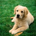 adam oakley - @Adamoakleyslife - Twitter