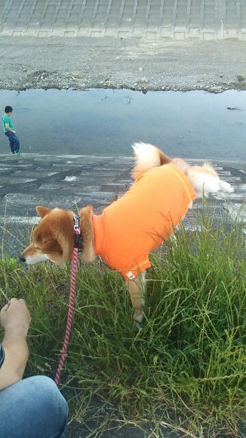 tyannmityannmi's profile picture. 🐕🌈⚽️エスパルスサポ🧡⚽️ゲルぴよ🧡