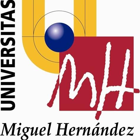 Máster en Ingeniería Óptica para Aplicaciones Biomédicas. Título Oficial de la Universidad Miguel Hernández de Elche.