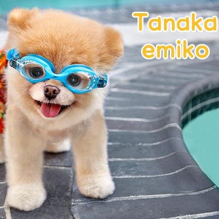 welcom emi twi