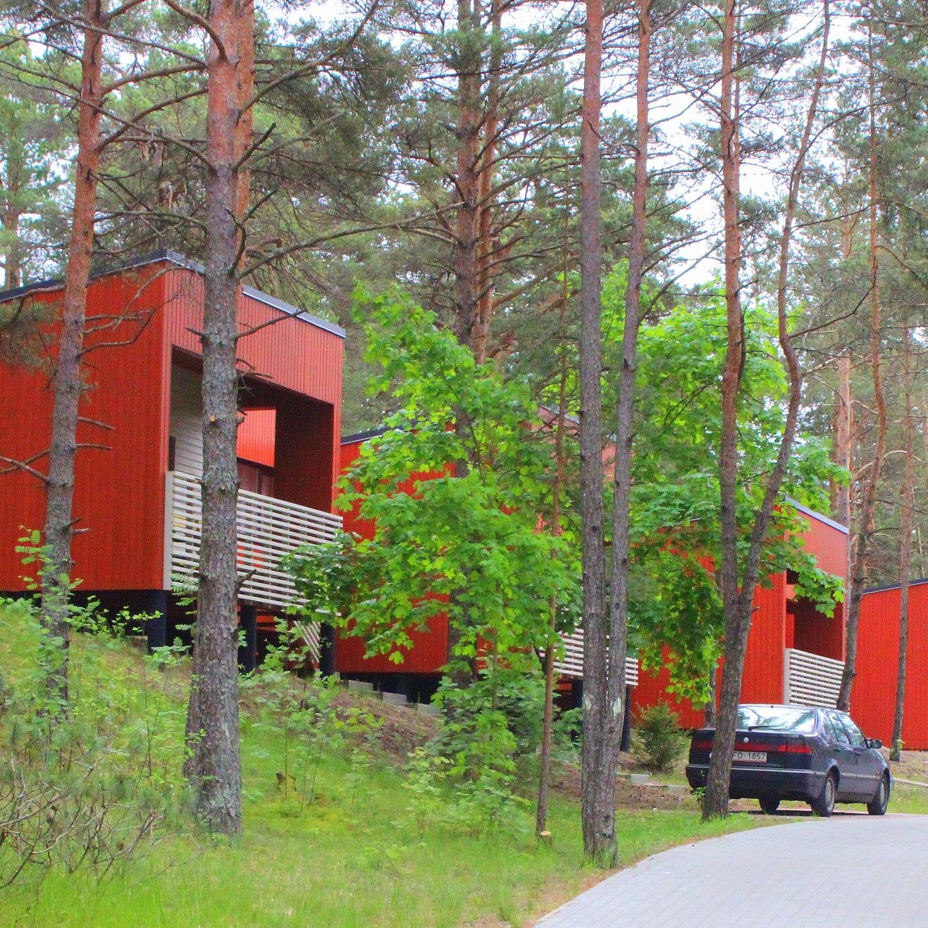 Ronisi_RTU's profile picture. 