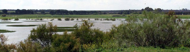 Una antigua mina devuelta a la vida entre Sevilla y Jerez. Fue una reclamación a gritos y hoy una realidad. Un proyecto de restauración apasionante...