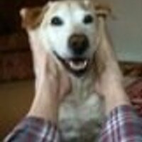 Spenbeck (@spenbeck) 's Twitter Profile