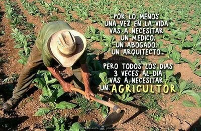 Resistencia&Resiliencia