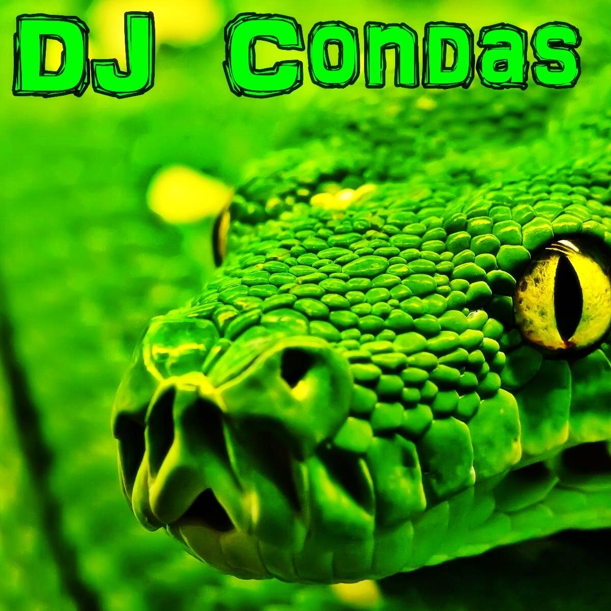 CondasDj's profile picture. 