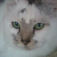 ともひろ (@7tomo332) 's Twitter Profile Photo
