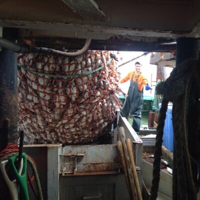 bourque_v11's profile picture. Lobster fishermen