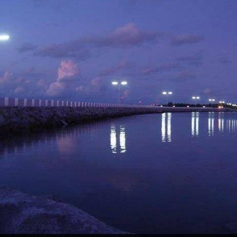 MMAUOON's profile picture. Salafi Muslim, Interested in history