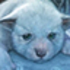 ファオラン_JPさんのプロフィール画像