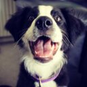 Bailey Hansen - @BaileyTheBC - Twitter