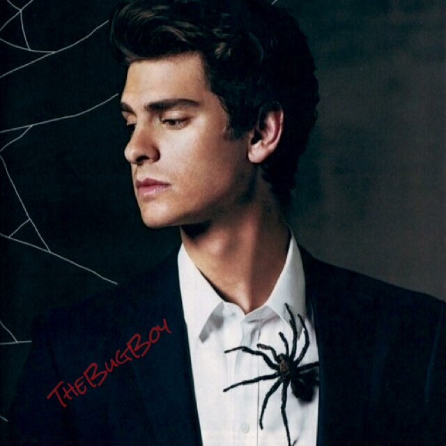 TheBugB0Y's profile picture. For I know at last that a man can't change his destiny.. And I was born to be.. Spider-Man. [RP - MC]