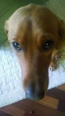 proveit32's profile picture. 