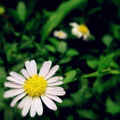 Hadoool66ey's profile picture. حسبي الله ونعم الوكيل