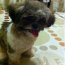 Jong Ruth Sanchez (@0212_NAMSKO) Twitter