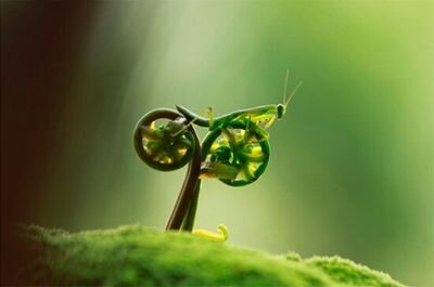 Ilusiones ópticas, curiosidades, arte, juegos y acertijos.
https://t.co/BnsXYkuQzw 

https://t.co/l5K57Hod0x
