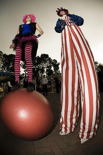 Fern Street Circus Profile