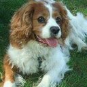 Ruth Head - @ruthmhead11 - Twitter