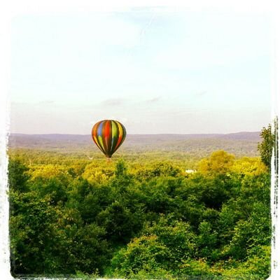 lovelylady620's profile picture. 