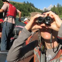 Teri Faught (@terifaught) 's Twitter Profile