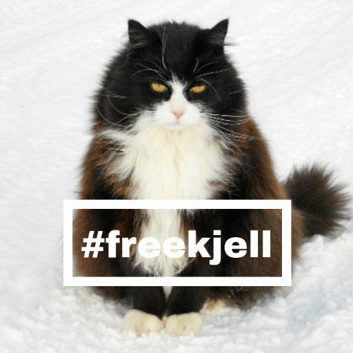 Kjell is a cat who has been kidnapped http://t.co/UGAqRoK7jR #freekjell #tennetlysforKjell #teamKjell #pray4kjell
http://t.co/733zfpagT5