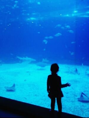 area300s's profile picture. 