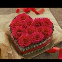 المحمادي (@09ab53dc5afe40e) 's Twitter Profile
