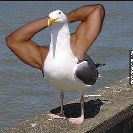 lol