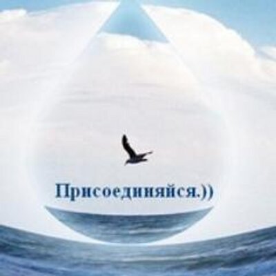 Следуйте за нами в Twitter!