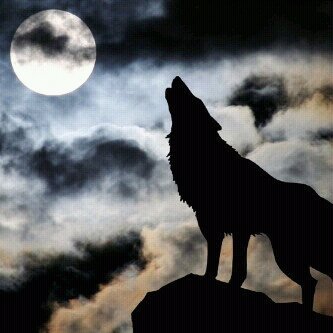 jberrokl's profile picture. 