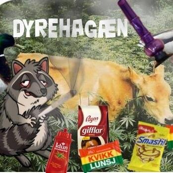 Opp bakken og til venstre, finner du dyrehagæn 118, der e vi samlet hele flokken, helt fåkkæt