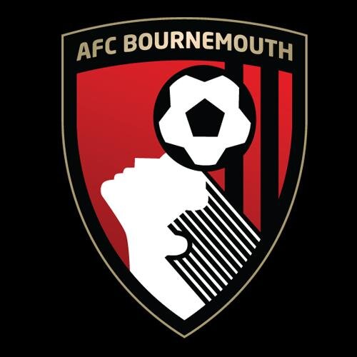General Manager @afcbournemouth To chat in more detail email liz.finney@afcb.co.uk