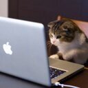 Un peu #Geek et #Mélomane (et aussi Docteur en droit)
