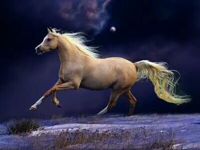‏‏‏‏‏« كلام الناس مثل الصخور إمّا أن تحملها على ظهرك  فينكسر، أو تبني بها برجًا تحت أقدامك فتعلو وتنتصر !»..