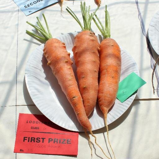 Family Fun at the Historic Loddiswell Show
                              2nd August 2014                           

SEE YOU THERE!!