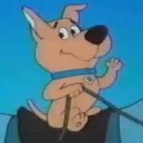 puppypower14's profile picture. 